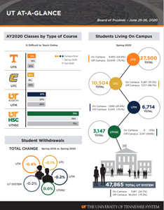 UT AT-A-Glance - June 2020